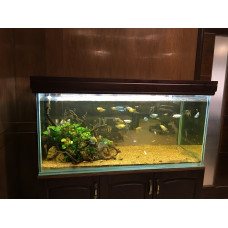 Customs Aquariums Starting ₹2000 (Only Kashmir) Complete Kits including fishes
