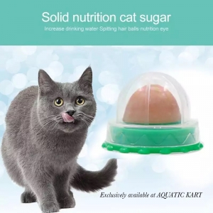 Aquatic Kart Cat Candy Licking Catnip Treat 